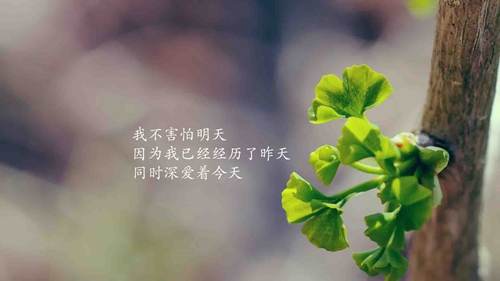 无聊的句子说说心情