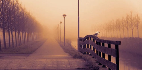 跟女孩告白的话语