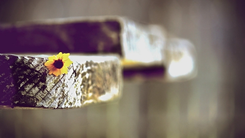 安徽那里买房便宜（安徽亳州的房子有升值空间吗）