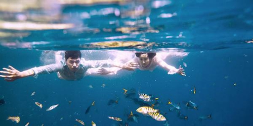 海南附近的地方房价多少钱（三亚顺泽福湾项目概括）