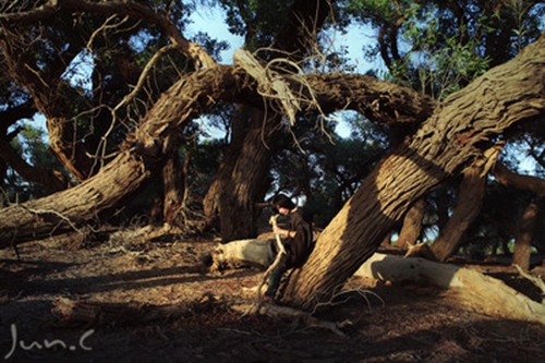 表示不想分手句子