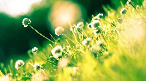 英语短文及其优美语句摘录