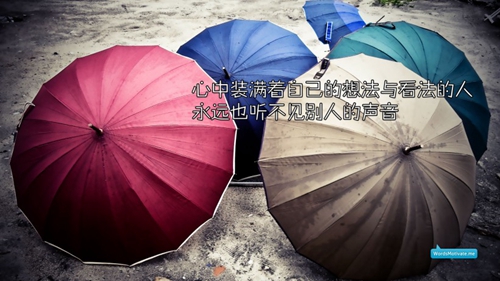 表白句子