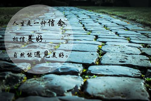 给姚弛的情话