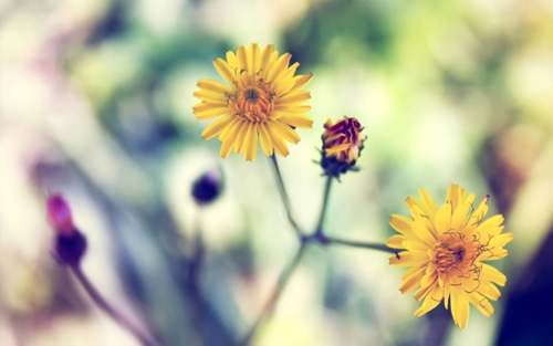 春节一日游的景点有哪些 春节一日游的景点介绍