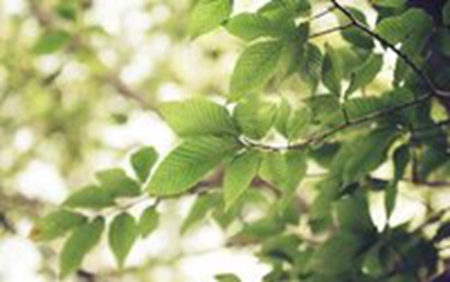 中秋节出去哪好玩（中秋节去哪里玩好）