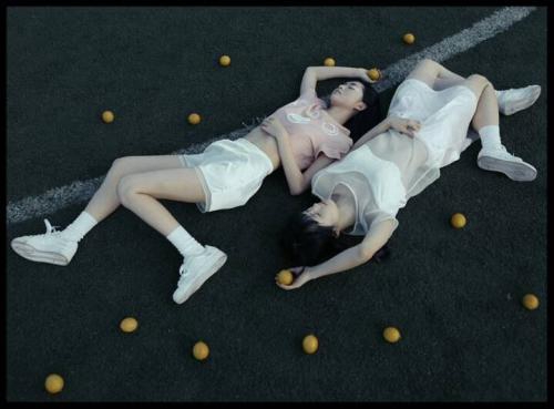 屋乌之爱解释(爱屋及乌释义)