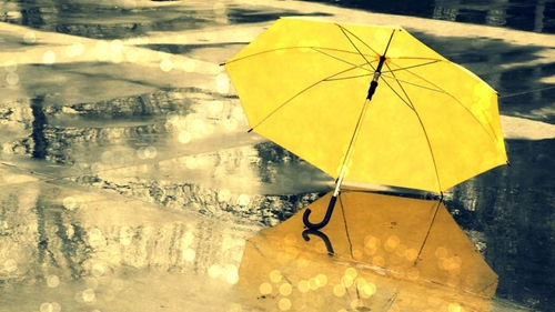 甘露法雨(甘露法雨(2008金刚萨埵开示))