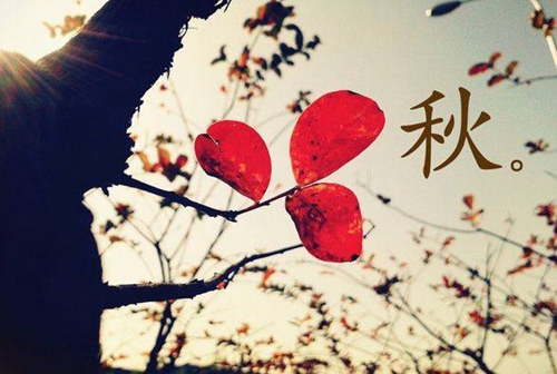 方闻之士是什么意思(方闻的意思)