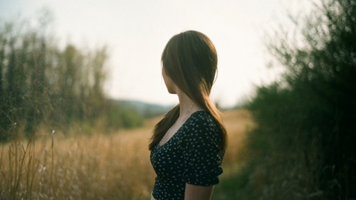 断还归宗(断还归宗成语接龙)