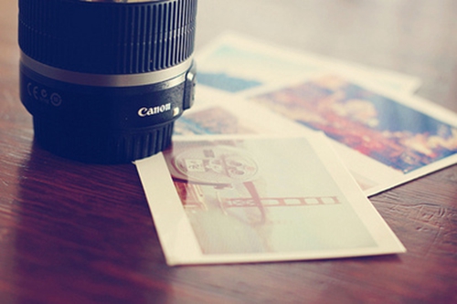 贵阳森林野生动物园门票价格及景区地址和交通指南