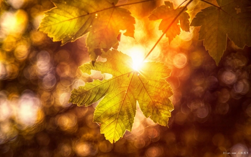 1653718480335432.png image.png