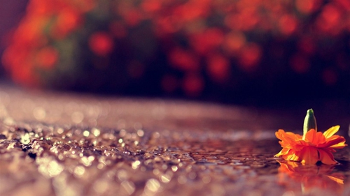 1653720091831804.png image.png