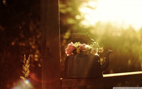 1653201319113999.png image.png