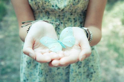 1613034733337541.png image.png