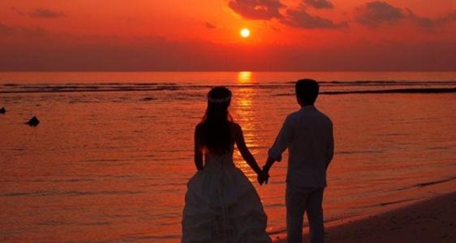 白菜叶子如何保鲜储存（怎样保存白菜叶使其不发黄）