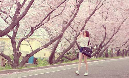 白参适合什么季节吃（白参哪个季节吃最佳）