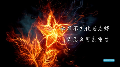 妈妈太强势怎么办（？）