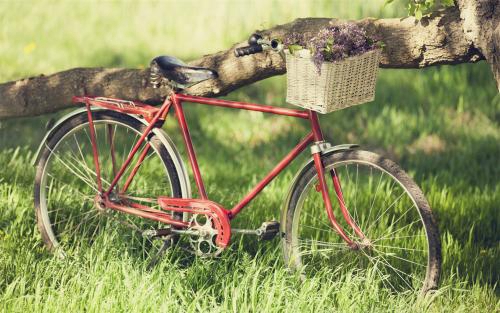 夸对方的情话 夸对方的情话