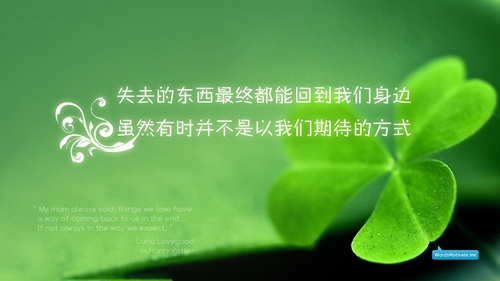 土式情话大全