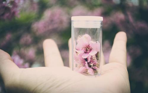 中秋节祝福语发短信