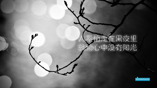 热带雨林歌词情话语录