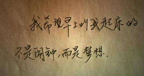 贺朝玩的奇迹暖暖起的网名是什么