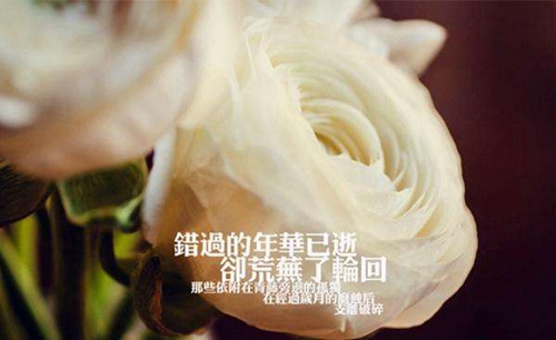 女生对男生说的情话大全