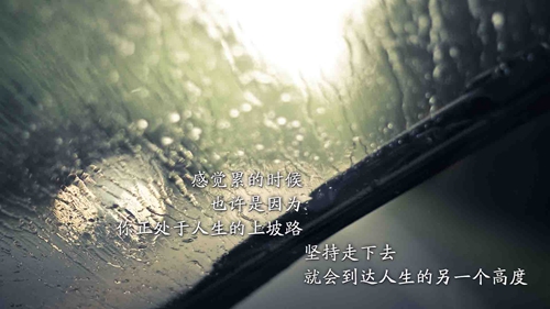 李波波个性签名