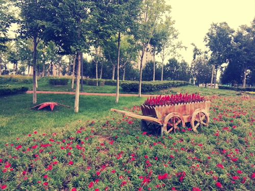 Galapagos [Version One] - Tortoise（Love Scar - Paul Thorn）