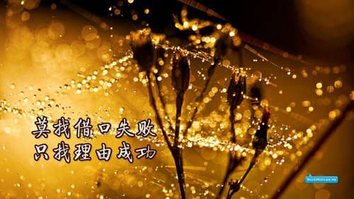 广州女装品牌有哪些好听的网名，广州知名女装品牌大全