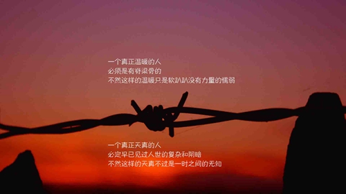低头浅笑的唯美句子《给女孩说的情话搞笑》