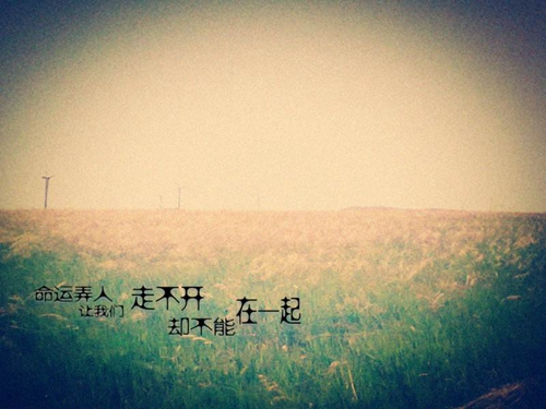相似的泪水不停流淌什么歌，流着相同的泪喝着相同的水啥歌名