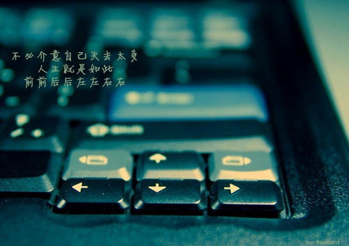 形容月亮的句子伤心