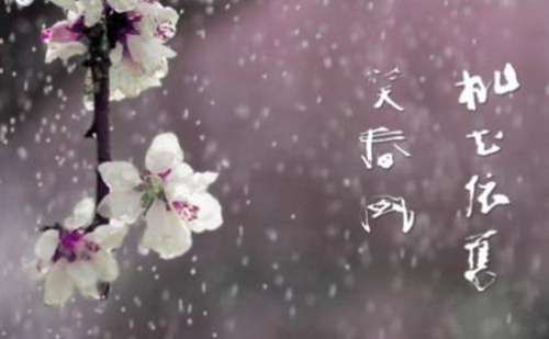 桃花开满山是什么歌