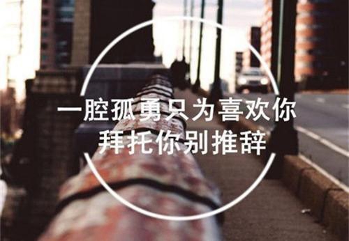 　　陌小雅