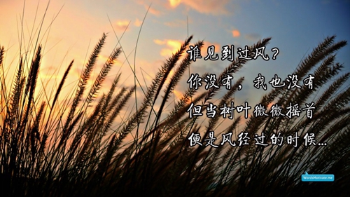 暖暖的爱情语录