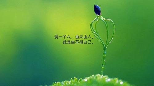 一秒像一年一样是什么成语