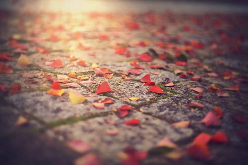 关于友情的文人句子