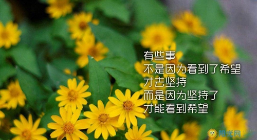 爱情面前就要勇敢一点